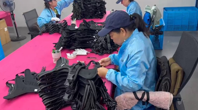 8866体育宠物，无处不在